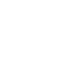 hire-wordpress-developers-element-5 hire-wordpress-developers-element-5