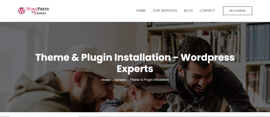 WordPress Theme Installation Expert